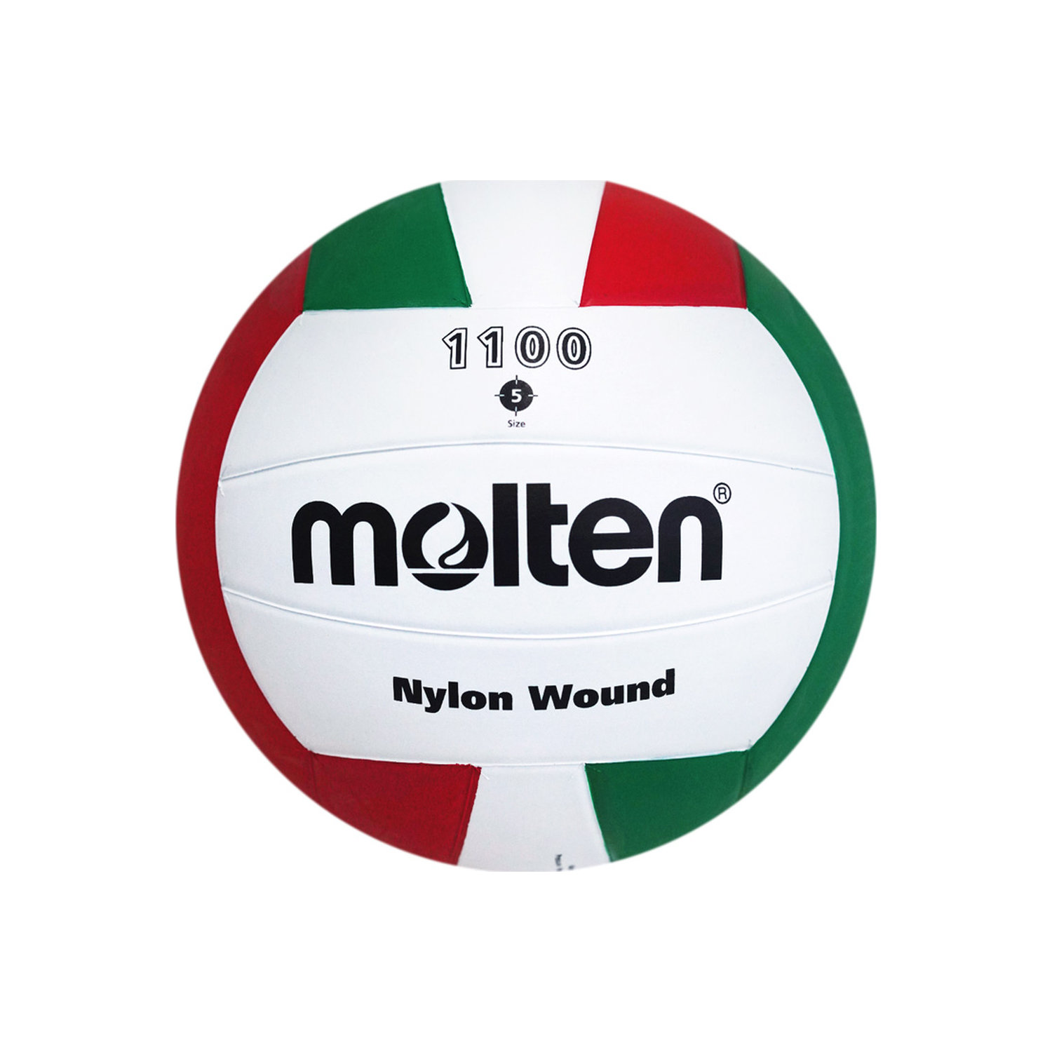 V5C1100 Volleyball Size 5